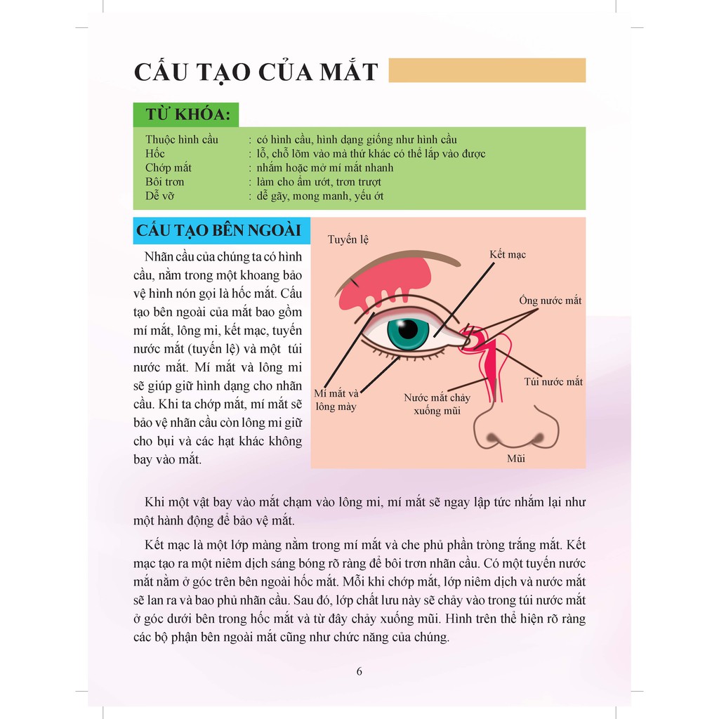 Sách - Cơ Thể Của Tôi Hoạt Động Như Thế Nào: Mắt