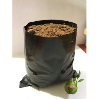 TÚI BẦU CHUYÊN DÙNG ƯƠM CÂY GIỐNG- CÂY ĂN QUẢ (12 x 14cm) 1kg