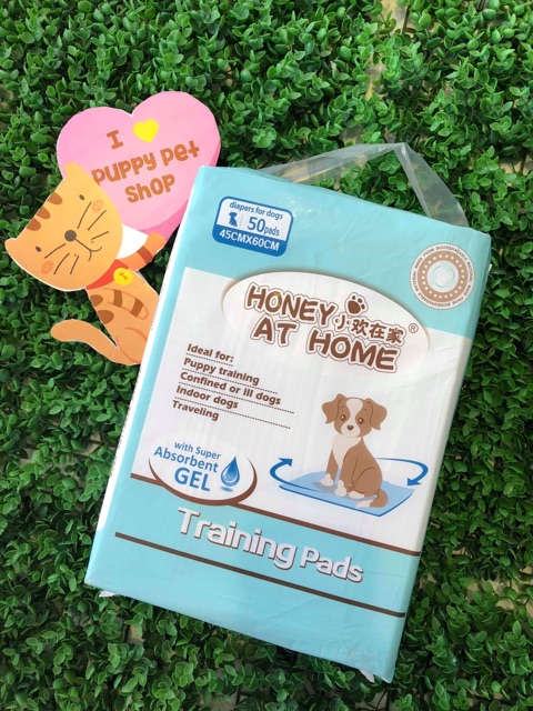 Miếng Lót Vệ Sinh Cho Cún Honey At Home