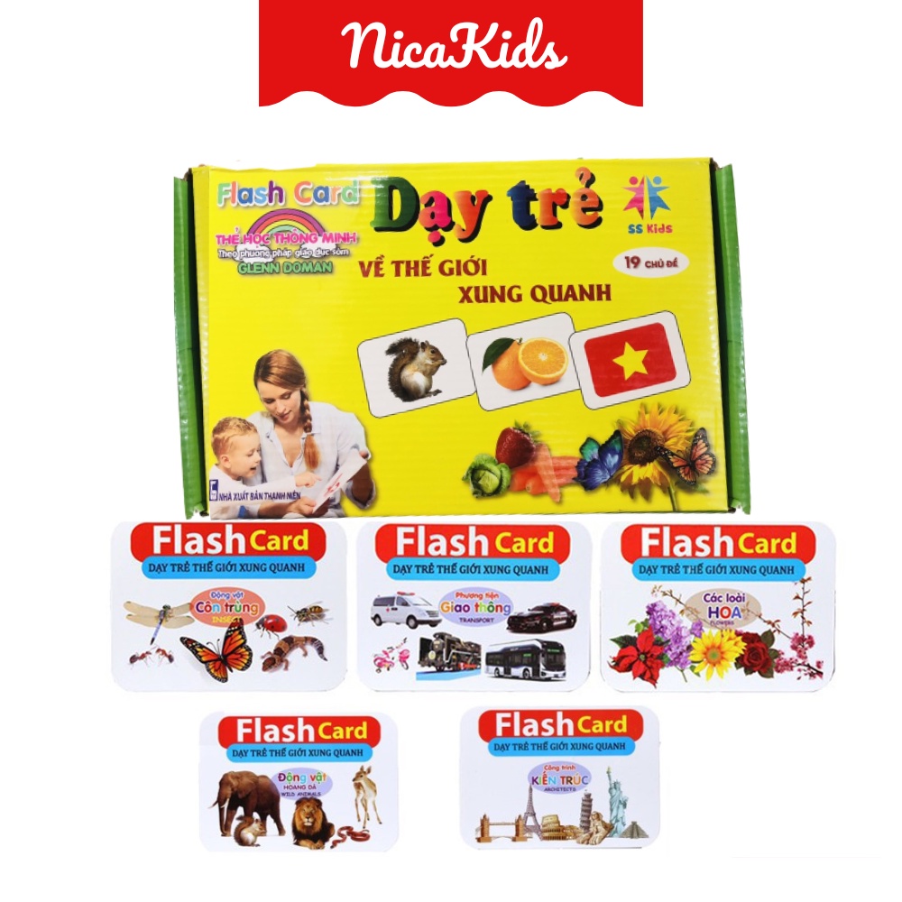Bộ thẻ học song ngữ Flashcard loại thẻ BIG SIZE ( 14 chủ đề)