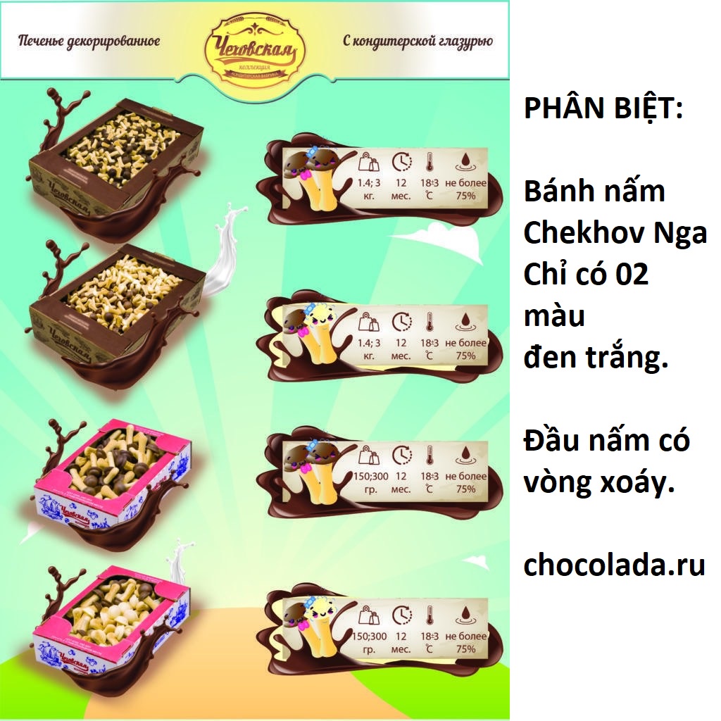 Bánh quy socola nấm Nga  Hộp 300 Gr
