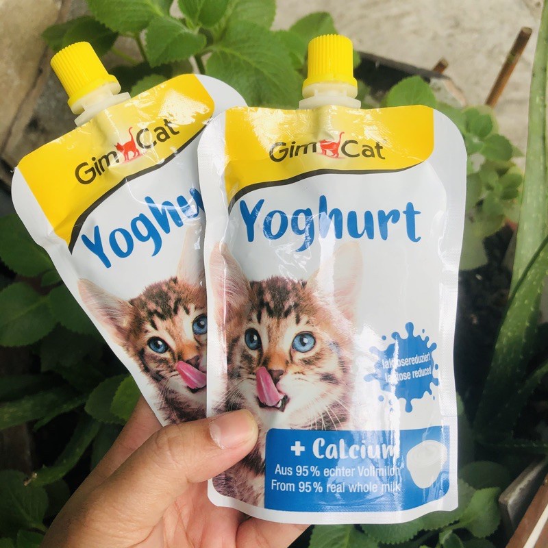 Sữa chua GimCat Yoghurt hỗ trợ tiêu hóa và bổ sung canxi cho mèo