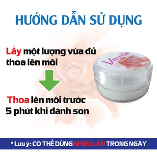 Kem dưỡng môi chống nẻ Vaseline Hadiphar (10 g)