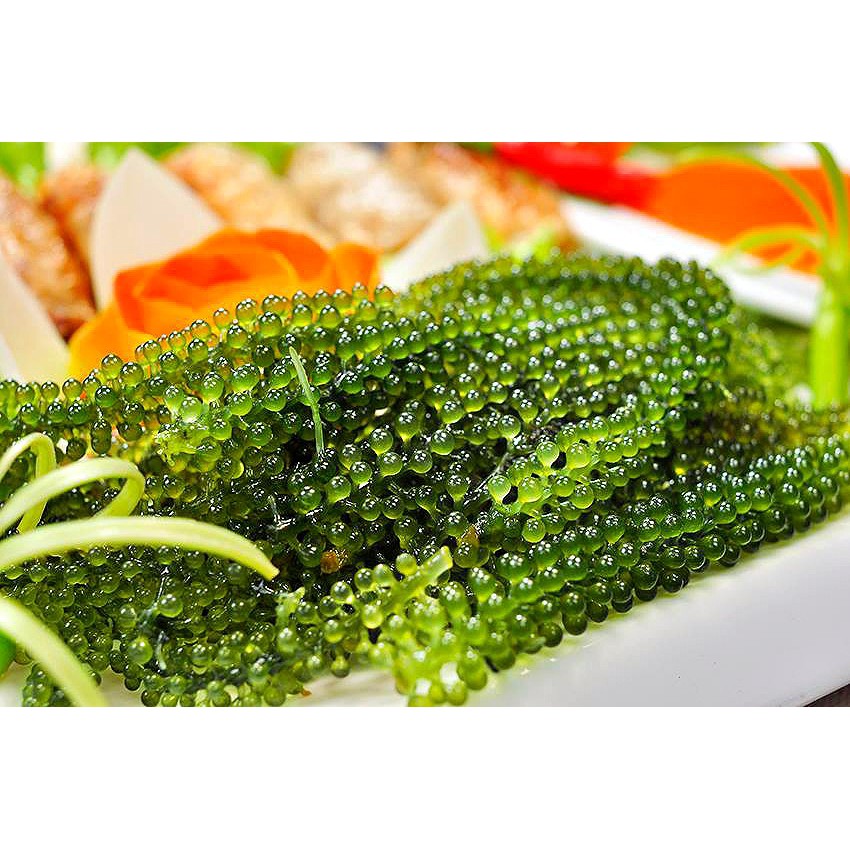 Rong nho tách nước Tasami + xốt mè rang 175g