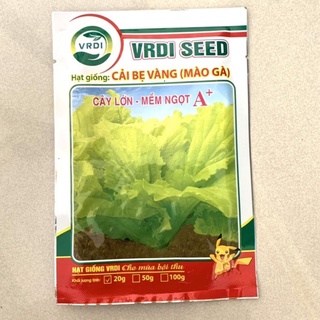 hạt giống cải bẹ vàng vrdi seed 20gr