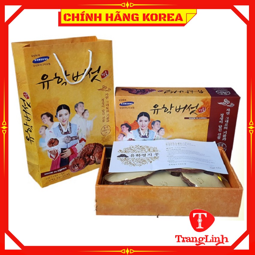 Nấm linh chi hàn quốc chính hãng - Nấm hộp cô gái mặt sữa 1kg giúp thải độc gan, thanh lọc cơ thể - tranglinhkorea