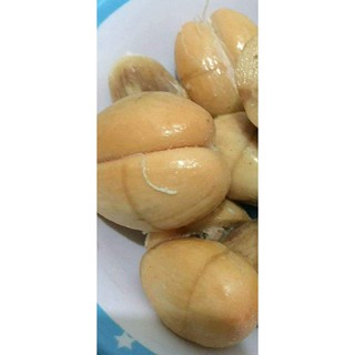 [FREESHIP - Xả Khô Máu] Cây Mây Thái ...8 tháng cây cho trái