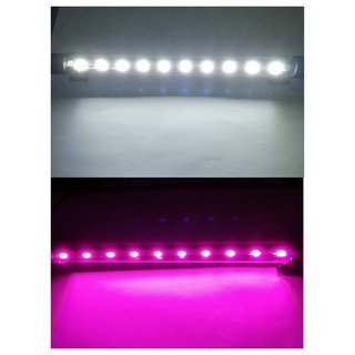 Đèn Led Hồ Cá dài 26cm - Đèn Trang Trí Bể Cá