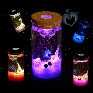 Bình thủy tinh 12cm Bình thủy canh Terrarium Hộp đựng đèn LED