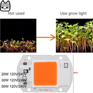 110v/220v 20w/30w/50w full spectrum led cob chip grow light plant growing lamp bulb