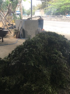 Tinh Dầu Tràm Nguyên Chất 100%