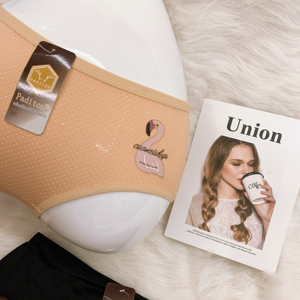 Quần lót nữ❤️Combo 10 chiếc quần thiên nga 3012❤️