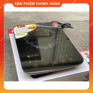 Bếp từ Elmich ICE-1833