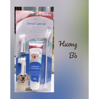 Bộ kem , bàn chải đánh răng cho Chó