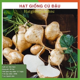 Gói 20 hạt giống củ đậu, dễ trồng, sai củ, giòn ngọt.