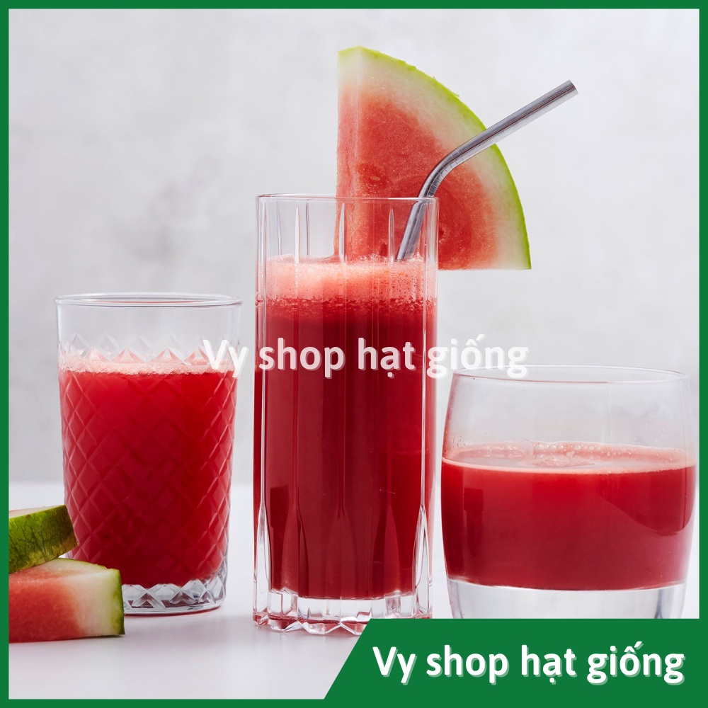 Hạt giống dưa hấu ruột đỏ không hạt quả dài Thái Lan gói 30 hạt