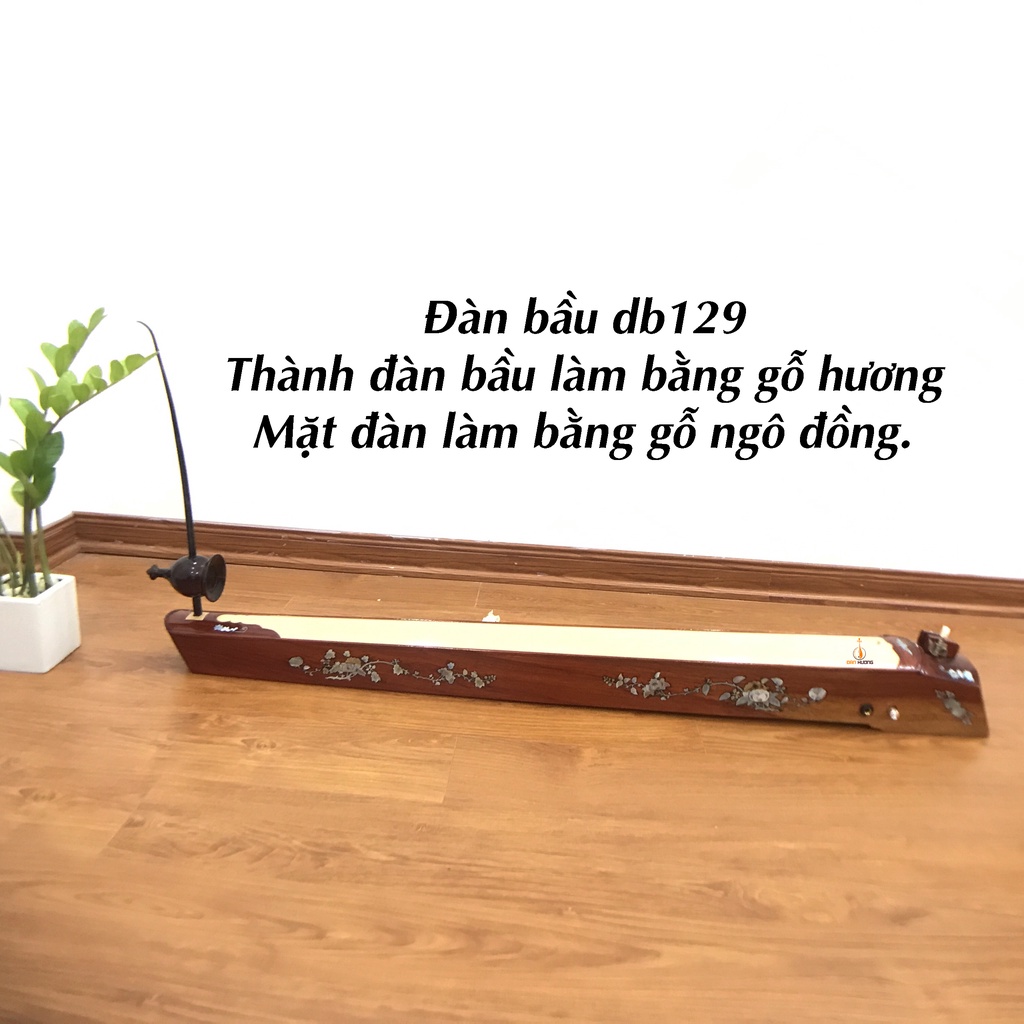 Mua đàn bầu DB129 loại đàn tốt có tặng kèm dây dự phòng