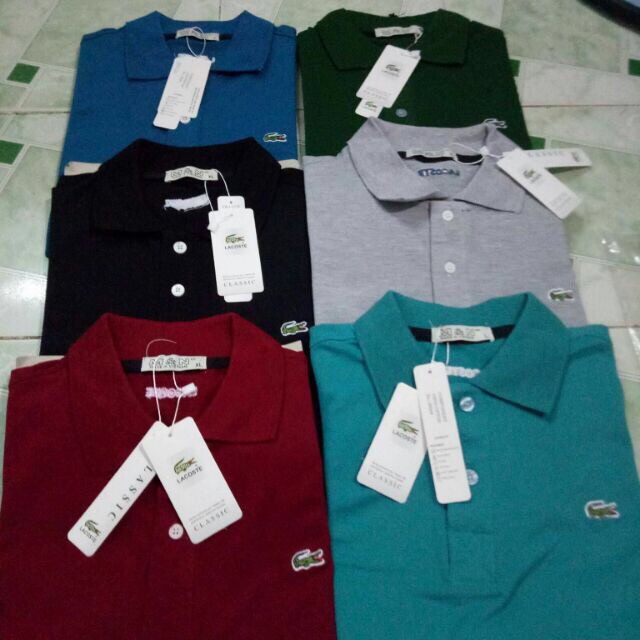 Áo thun cá sấu nam | BigBuy360 - bigbuy360.vn