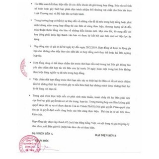 Tăm bông kháng khuẩn kichi 200 chiếc