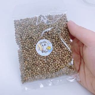 HẠT LÁNG CHO HAMSTER, CHIM
