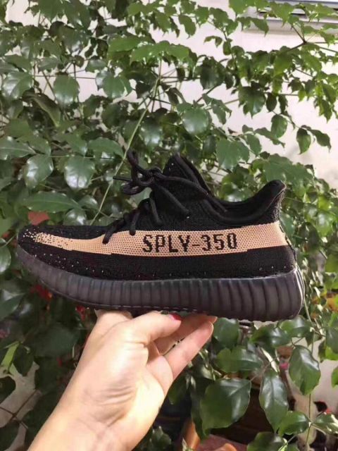 Sply 350