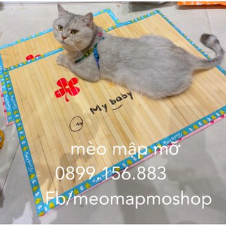 THẢM CHIẾU TRE LÀM MÁT CHO CHÓ MÈO