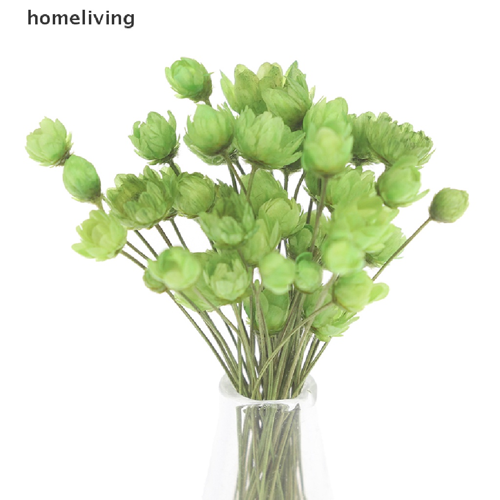 Chậu Kính Trồng Hoa Khô Trang Trí Nhà Búp Bê Tỉ Lệ 1: 12