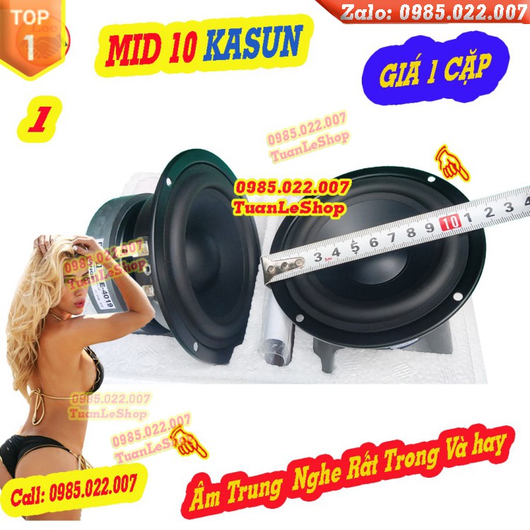 LOA TRUNG 10 KASUN NHẬP KHẨU E4019 - GIÁ 1 CẶP