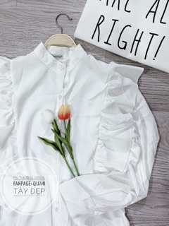 ÁO kiểu 24