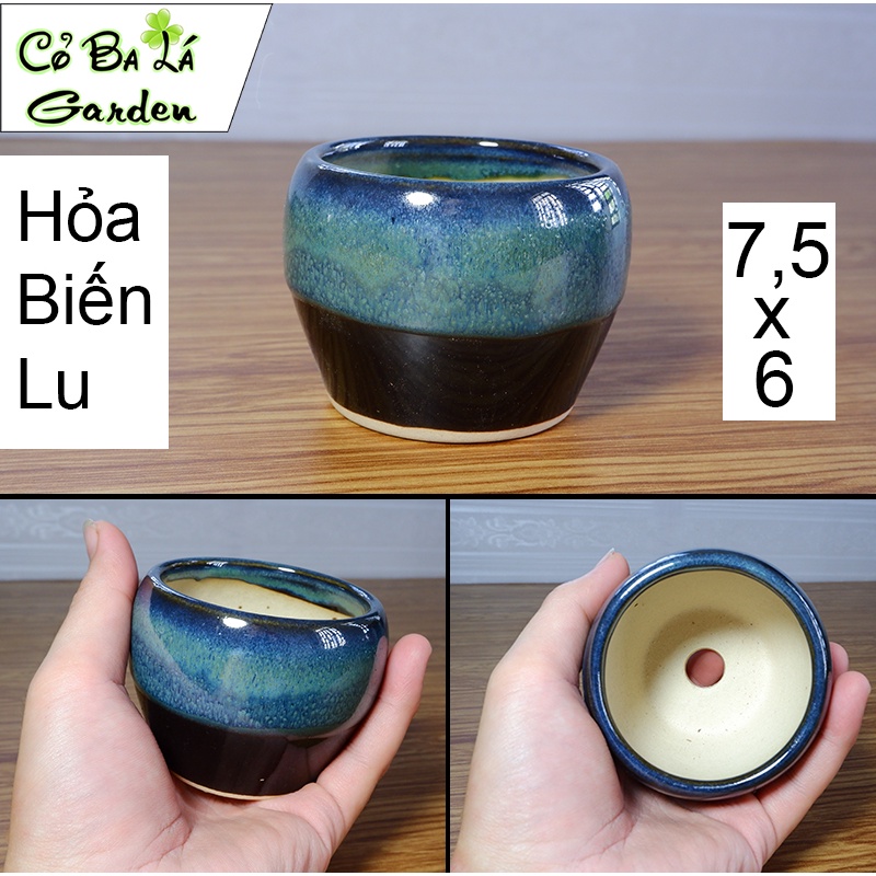 Chậu sứ trồng cây mini hỏa biến