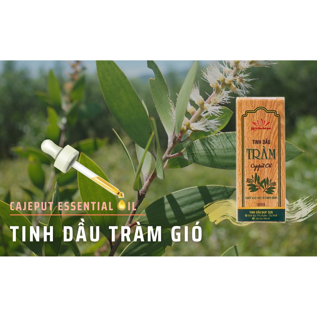 [Tinh dầu Tràm Huế] NGUYÊN CHẤT Búp Sen 10ml - Tinh dầu tràm gió thiên nhiên chăm sóc sức khỏe cho bé