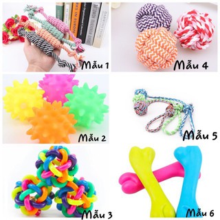Đồ chơi cho chó mèo chọn mẫu