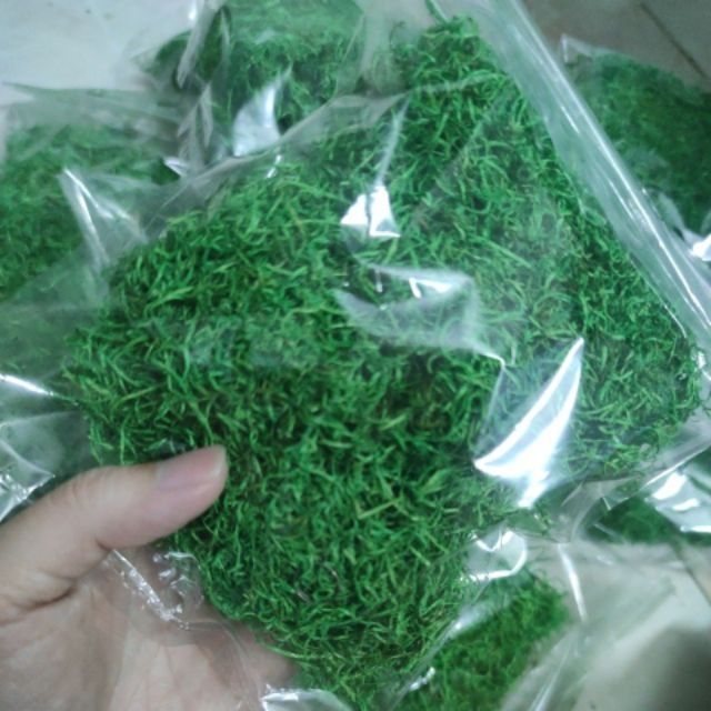 Cỏ sợi rêu, cỏ bột 50gr,dùng làm nền đất, trang trí cây hoa giả,làm mô hình