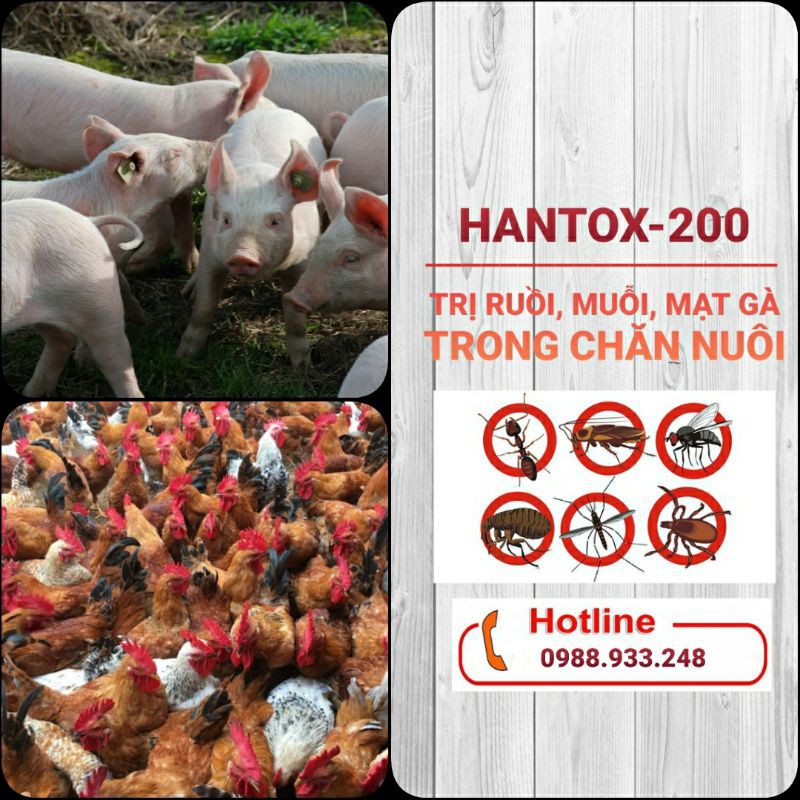 Chuyên gia diệt muỗi, ruồi HANTOX- 200 loại 1L
