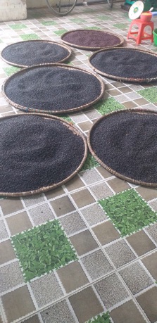 Trà đỗ đen rang