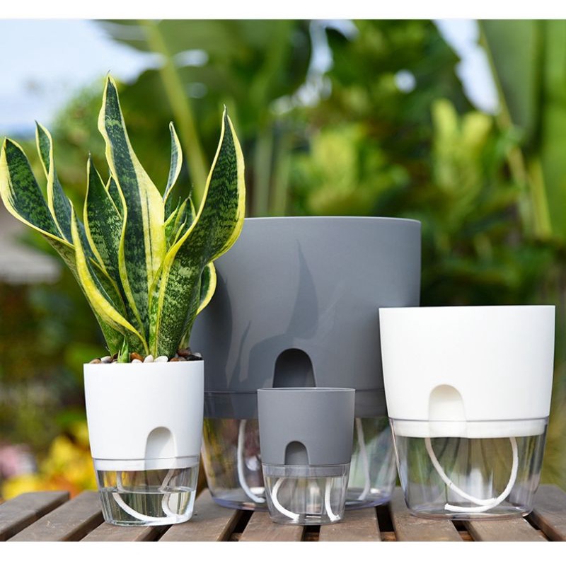 Chậu cây tự dưỡng OLiz Trắng để bàn Chậu cây mini tiểu cảnh trang trí văn phòng bàn làm việc