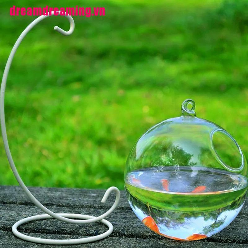 Bộ Bình Hoa Thủy Tinh Trang Trí Nội Thất Đẹp Mắt