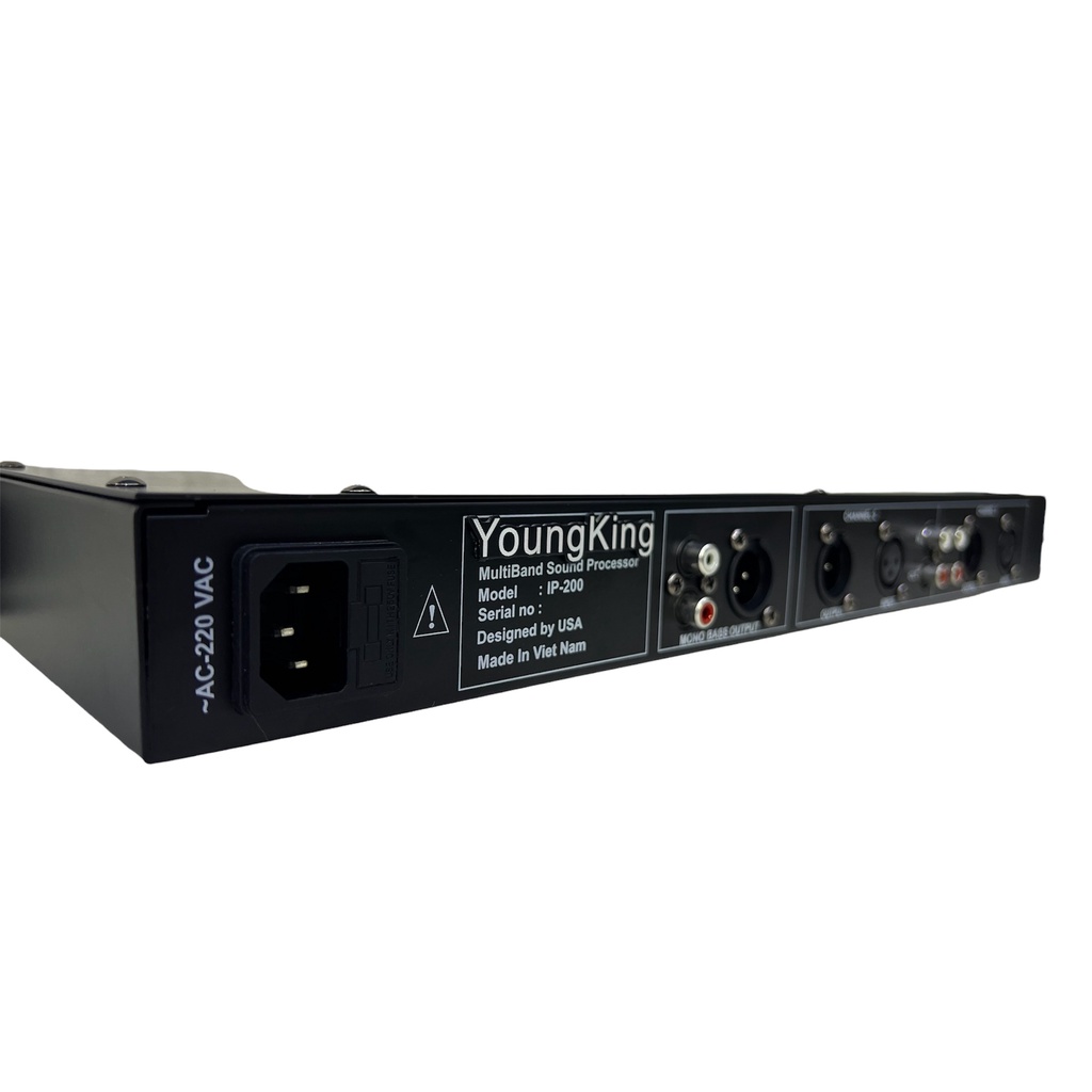 Nân Tiếng YoungKing Audio IP-200 Model 2022