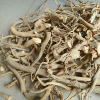 1 kg rễ đinh lăng khô