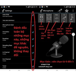 Microphone Mini