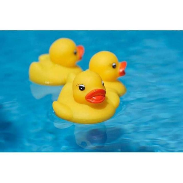 Đàn Vịt Thả Bồn Tắm Cho Bé