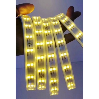 Đèn Led dây đôi 2835 siêu sáng 2 hàng ( Đơn giá / 1 mét )