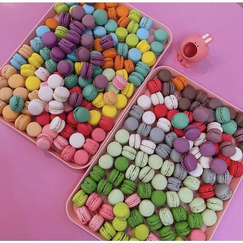 Set 50 bánh Macaron Mini