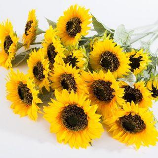 Cành Hoa Hướng Dương 3 bông cao 1m1 Ảnh thật - Hoa Giả