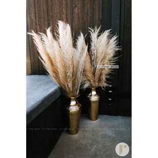 Cỏ lau khô 1m4-1m5 ❤️CAM KẾT Y HÌNH ❤️ SẴN HÀNG lau xơ phụ kiện chụp hình