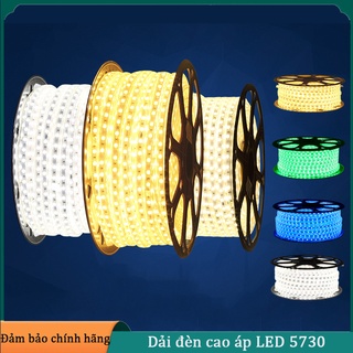Đèn led dây đôi 5730 siêu sáng 2 hàng