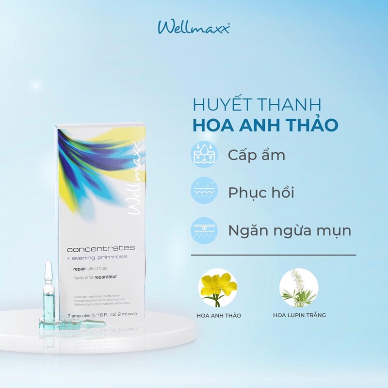 [sỉ từ 5sp]wellmaxx huyết thanh hoa anh thảo