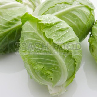 Kho buôn Hạt giống cải bắp trái tim F1 -0.2 gr
