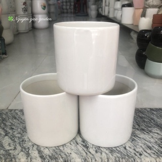 Chậu Sứ Trồng Cây Cảnh Để Bàn Đường Kính 11cm