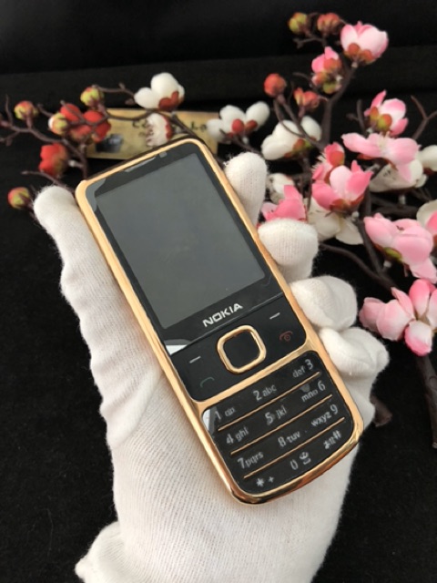 Nokia 6700 gold rose